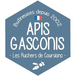 Apis Gasconis